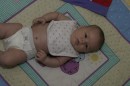 IMG_1056 * 1200 x 800 * (141KB)
