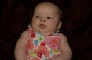 IMG_1070 * 1200 x 800 * (119KB)