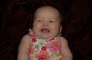 IMG_1074 * 1200 x 800 * (117KB)