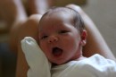 CRW_2269 * 2048 x 1360 * (179KB)