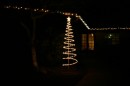 IMG_0376 * 800 x 533 * (41KB)