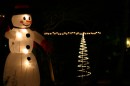 IMG_0535 * 800 x 533 * (53KB)