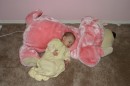 IMG_0070 * 600 x 400 * (48KB)
