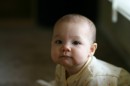 IMG_0271 * 600 x 400 * (22KB)