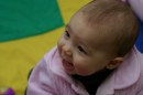 IMG_0484 * 600 x 400 * (29KB)